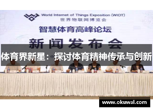 体育界新星：探讨体育精神传承与创新