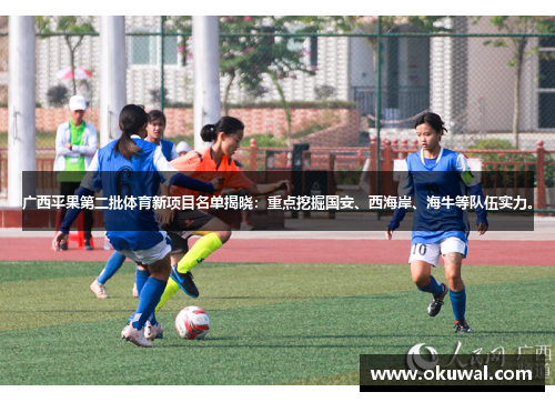 广西平果第二批体育新项目名单揭晓：重点挖掘国安、西海岸、海牛等队伍实力。